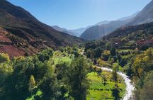 Atlas Mountains & 3 Valleys Private Tour From Marrakech 