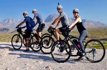 Red Rock Canyon Self-Guided Electric Bike Tour