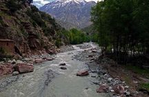 Private Day Trip from Marrakech to the Atlas Mountains