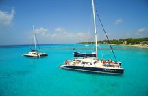 Catamaran and Snorkeling Cruise At Carlisle Bay