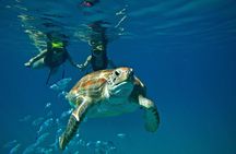 Catamaran and Snorkeling Cruise At Carlisle Bay