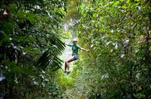 Treetop Zipline Experience From Castries