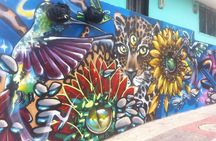 Full Day Private Medellin City, Street Art and Food Tour