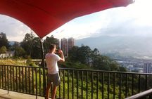 Real Estate tour and local gastronomy