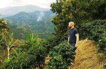 Private Full-Day Coffee Tour to Palmitas farm near Medellín