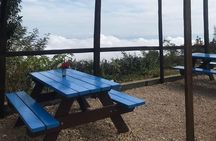 Private Tour of Port Au Prince area