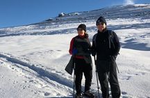 Wanaka Snowshoe Tour