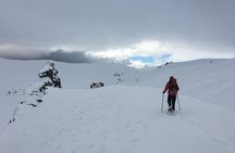 Wanaka Snowshoe Tour
