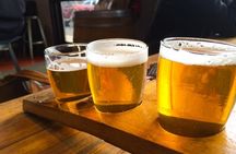 Bike & Brew: Beautiful Denver Downtown Tour by E-Bike or Bicycle
