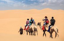 Morning Dubai desert safari - camel rides, quad bikes, dune buggies,dune bashing