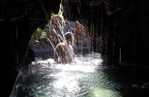 Ubud Hot Springs and Waterfall Private Guided Tour Free WiFi