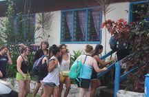 Waterfalls (Biausevu) Tour- Fijian Village&Pre-School/Light Lunch Ex Coral Coast