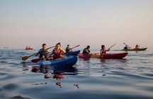 Sunset Sea Kayaking and Wine Dubrovnik