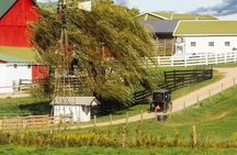 Amish Experience Visit-In-Person Tour