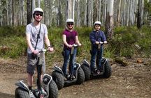 Launceston: Hollybank Treetops Adventures - Segway Tour