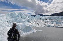 Matanuska Glacier Summer Tour