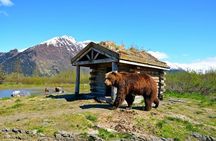 Anchorage to Whittier Cruise Transfer and Private Tour