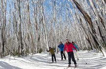 Melbourne Snow Trip to Lake Mountain with Chocolates & Waterfalls