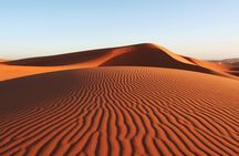 Half-Day Mui Ne Sand Dunes Jeep Tour with Hotel Pickup