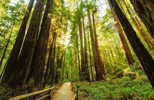 San Francisco to Muir Woods Shuttle