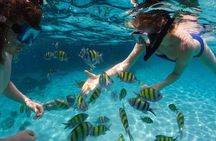 Scape Park Sunshine Cruise at Cap Cana