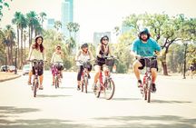 E-bike the Green Buenos Aires- the Palermo and Recoleta Tour