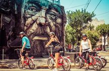 E-bike the Green Buenos Aires- the Palermo and Recoleta Tour