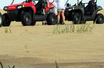 Self-Drive Buggy (Shared Buggy-2 people) or Quad Bike Safari