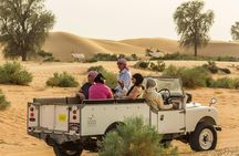 Private Vintage Land Rover Heritage Desert Safari- 4 Course Dinner & Activities