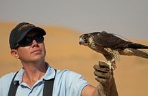 Private Falconry Experience and Nature Desert Safari in Dubai