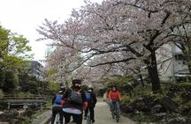 Tokyo by Bike: Skytree, Kiyosumi Garden and Sumo Stadium