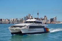Auckland Harbour Cruise