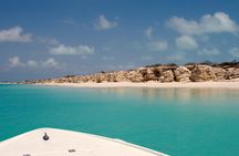 Snorkel Eco Tour