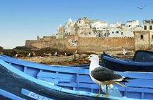 Full-Day Excursion to Essaouira from Marrakech