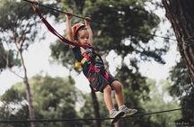 Adventure Park Il Pineto