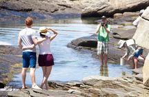 Cape Peninsula with a Marine Biologist