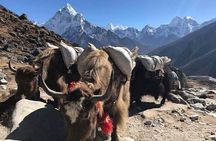 An amazing Everest Base Camp Trek- 12 Days 