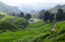 Cameron Highlands, Garden of Nature Full Day Private Guided Tour