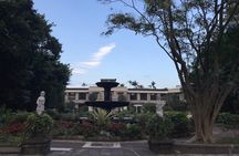 3-hour Vegetarian Private Walking Tour - Songshan distric & taste lotus hot pot