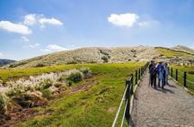 Private Yangmingshan & Beitou Tour from Taipei with Pickup