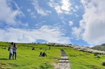 Private Yangmingshan & Beitou Tour from Taipei with Pickup