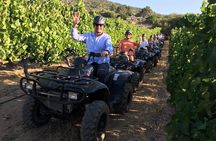1h30m – Nature Quad Trail