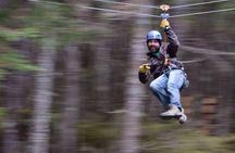 Grizzly Falls Ziplining Expedition