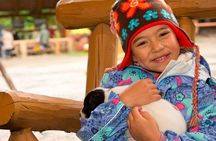 Musher's Camp and S'more Roasting Experience