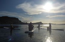 Guided paddleboarding (SUP) mangrove ECO tour for beginners