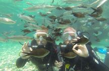 Scuba Diving from Dalyan