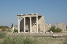 Private Priene, Miletos and Didyma Tour From Kusadasi
