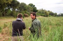 5 Day Lodge and Treehouse Kruger National Park Safari