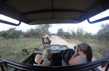 4 Day Katekani Lodge Kruger National Park Safari