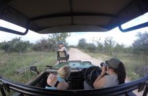 5 Day Katekani Lodge Kruger National Park Safari